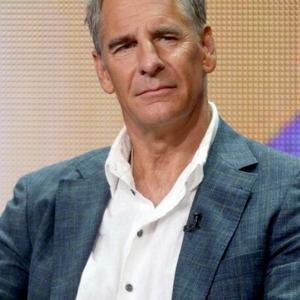 Scott Bakula Net Worth | Celebrity Net Worth