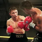 Kostya Tszyu Net Worth