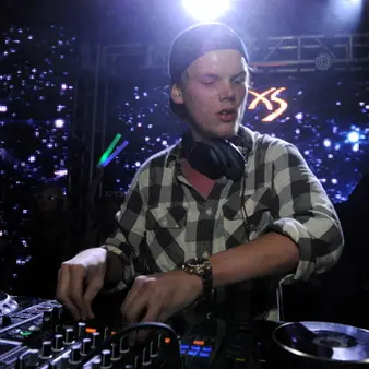 Avicii Buys A $15.5 Million Hollywood Hills Mansion