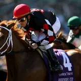 Ramon Dominguez Net Worth