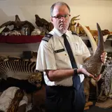 Illegal Rhino Horns Worth Millions Seized By Authorities In Thailand