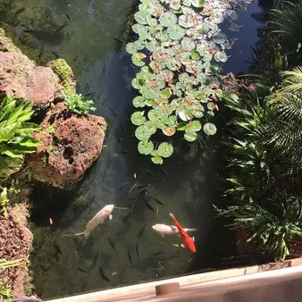 Man Fishes His Way To Billion-Dollar Net Worth