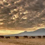 Jackson Kibor Is The Most Eccentric Character In The World