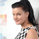 Pauley Perrette