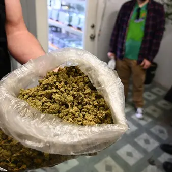 The Marijuana Billionaire Who Accurately Predicts Where It Will Be Legalized Next