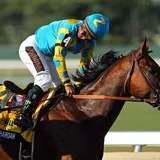 American Pharoah's Owners Are Making A Very Risky Multi-Million Dollar Gamble With Their Golden Goose