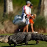 Man Claims He Made $15 Million Retrieving Golf Balls From Water Hazards
