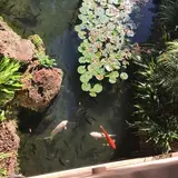 Man Fishes His Way To Billion-Dollar Net Worth