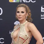 Mickie James Net Worth