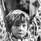 Eric Shea