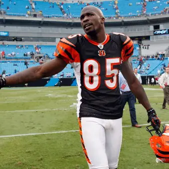 Chad Ochocinco Johnson Net Worth | Celebrity Net Worth