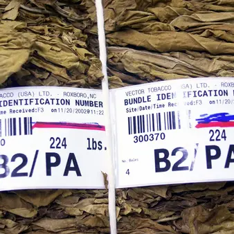 He Skipped High School, Enrolled In College At 14, Dropped Out And Became A Billionaire