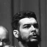 Che Guevara Net Worth