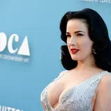 Dita Von Teese Net Worth