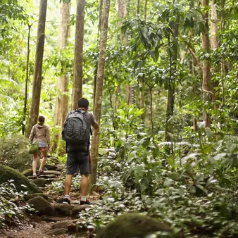 While Most Millionaire CEOs Smoke Cigars From Gas Guzzling Yachts, Johan Eliasch Might Single-Handedly Save The Rainforest.