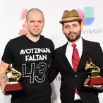 Calle 13  Net Worth
