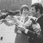 Judy Carne Net Worth