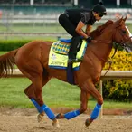 Kentucky Derby Winner Justify Is Self-Made Billionaire's Horse