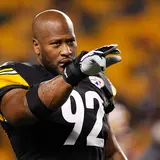 James Harrison Net Worth