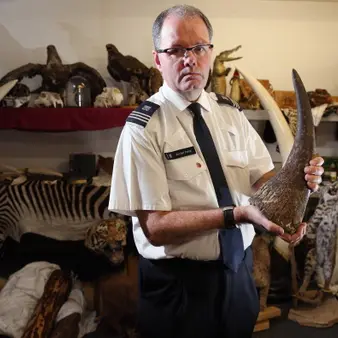 Illegal Rhino Horns Worth Millions Seized By Authorities In Thailand