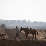 For $725 Million, You Could Own A Texas Ranch Bigger Than New York And LA – COMBINED