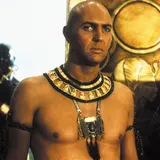 Arnold Vosloo Net Worth