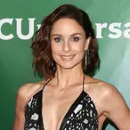 Sarah Wayne Callies Net Worth