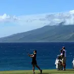 Want To Buy One-Third Of A Hawaiian Island? No Problem! Fork Over $260 Million
