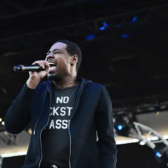 Danny Brown Net Worth