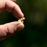 Jason Otteson Net Worth