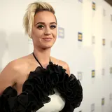 Katy Perry's Bid To Buy Religious Retreat For Catholic Priests Falls Through