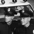 Martin Milner