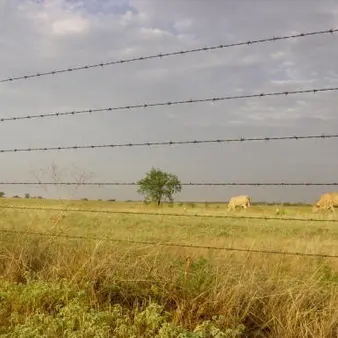 Wal-Mart Heiress Rolls Back Prices On Luxury Ranches