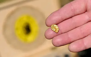 Dakota Fred Hurt Net Worth