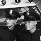 Martin Milner Net Worth