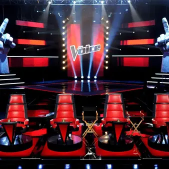 How Much Do The Judges On The Voice Get Paid?