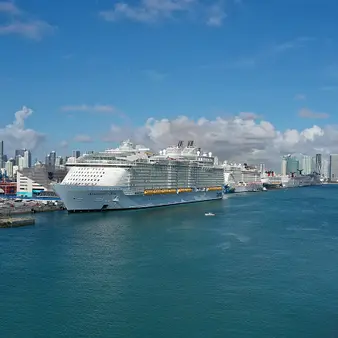 Arne Wilhelmsen Net Worth