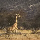 If You Were A Billionaire, Here's How You'd Vacation