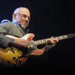 Larry Carlton Net Worth