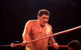 Andre the Giant Net Worth