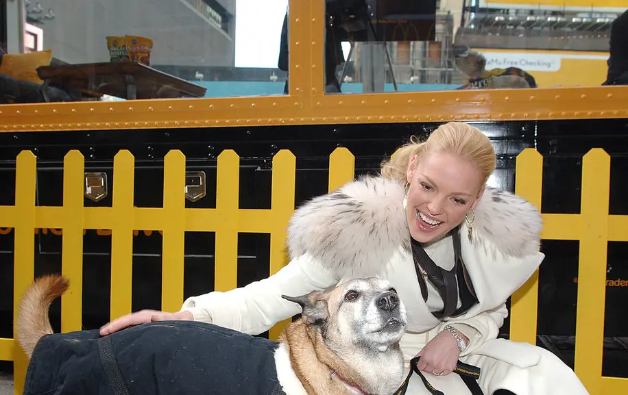 While Every Other Celebrity Tries To Get Rich With A Tequila Brand, Katherine Heigl Is Quietly Already A Dog Food Super Mogul