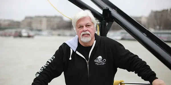 Paul Watson