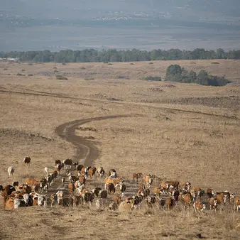 Much Of The Land In The U.S. Is Owned By Just A Handful Of Families