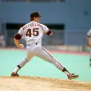 Terry Mulholland