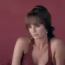 Jacqueline Bisset