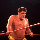 Andre the Giant