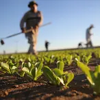Former Financiers Turn To Farmland Investment And Manage $575 Million