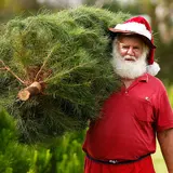 How Much Would Every Item From The 12 Days of Christmas Cost?