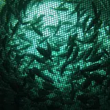 The World's Third-Youngest Billionaire Is Rich Thanks To Fish Farming