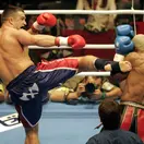 Peter Aerts